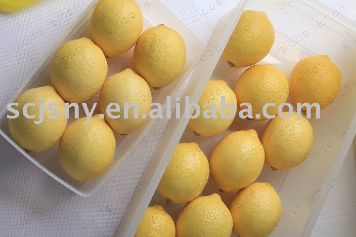 adalia fresh  lemon