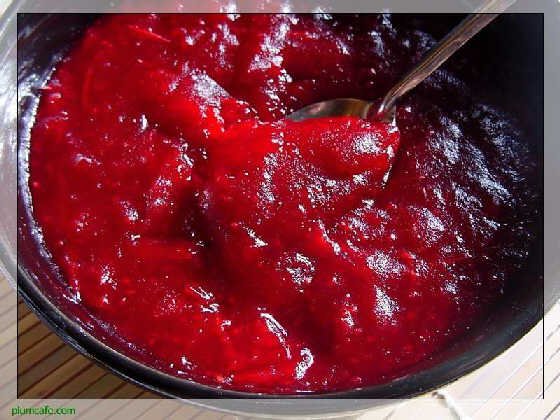 red radish color for jam color| pigment| organic pigment|food additive