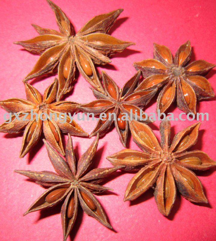 factory of star aniseed,star anise,chinese anise