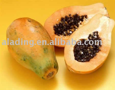 Papain powder