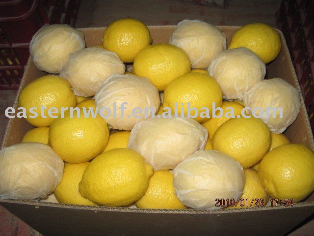 New Crop  Chinese   Lemon  in Carton Package