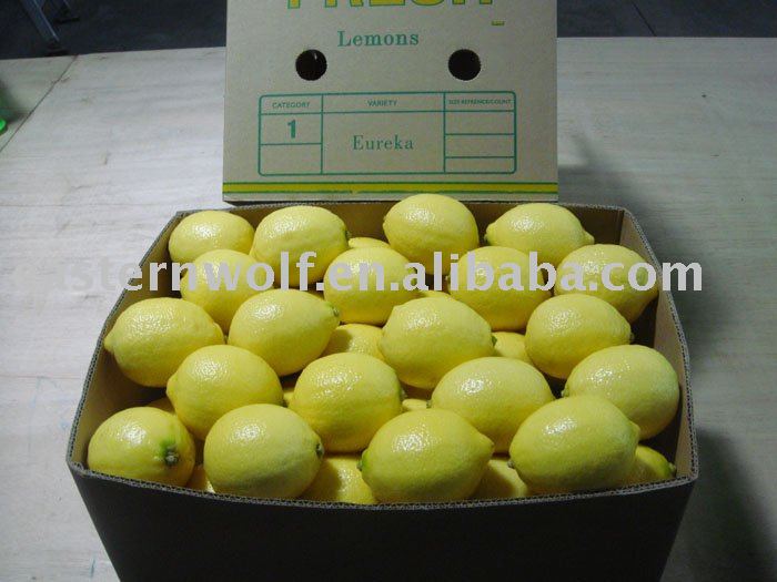 Chinese Lemon in 15KG/ Carton Package