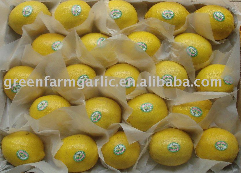 fresh lemon