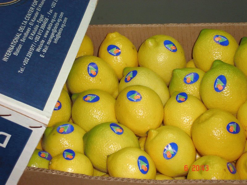 lemon