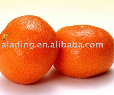  Orange   Fruit   extract 