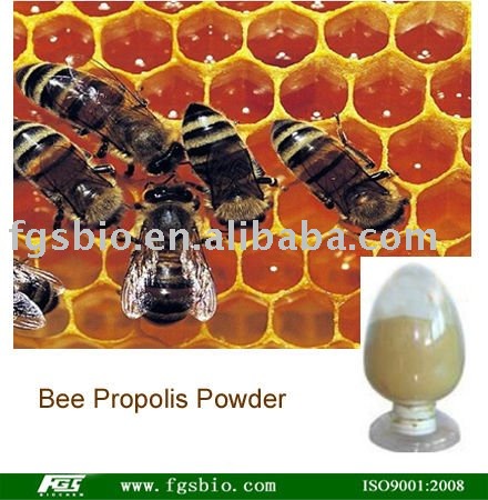 Bee  Propolis   Extract  Powder
