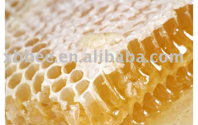 nature  comb   honey 