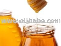 Wild Honey bees
