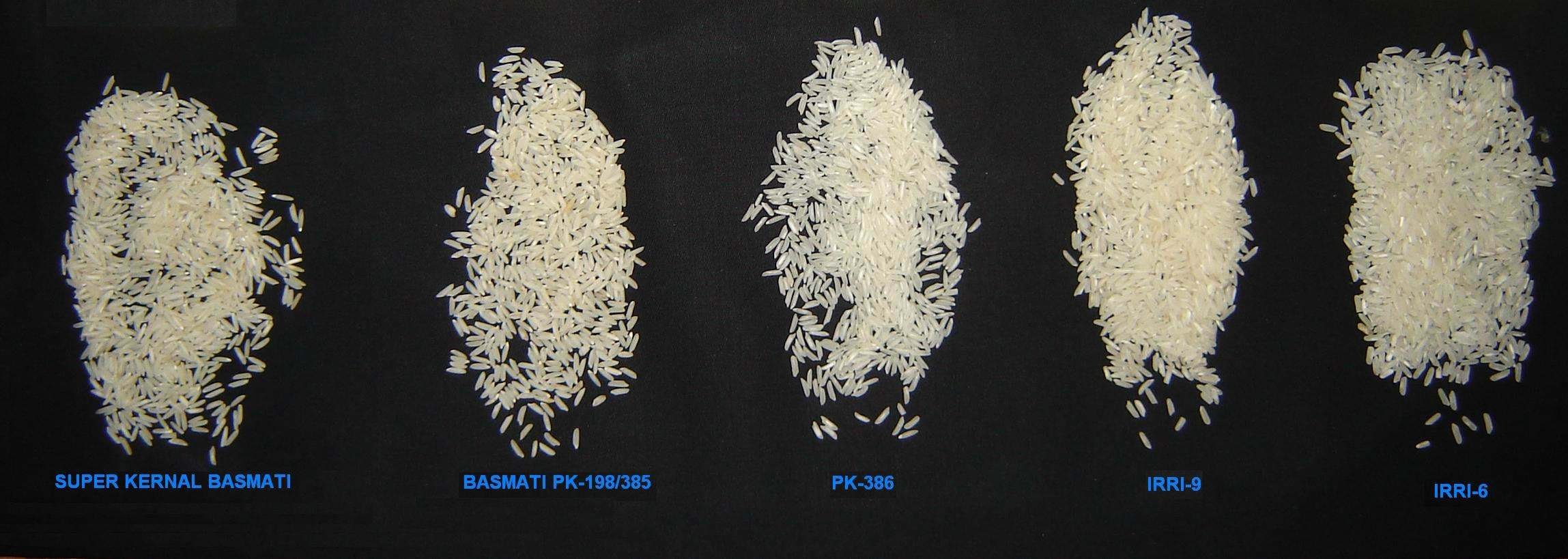 Steamed Rice Pakistan Mughli Price Supplier 21food steamed-rice-pakistan-mughli-price-supplier-21food