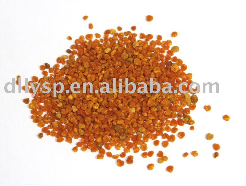  Sunflower  Bee  Pollen 