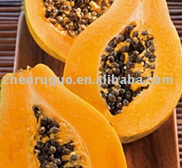FD SD papaya powder