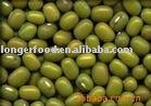  Green   Bean   Powder  Flavour
