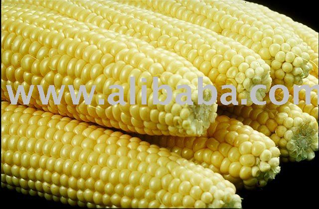 Corn Food Flavor (for Strawberry, Vanilla, Butter and more...)