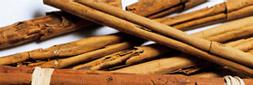 Cinnamon Flavor ingredient