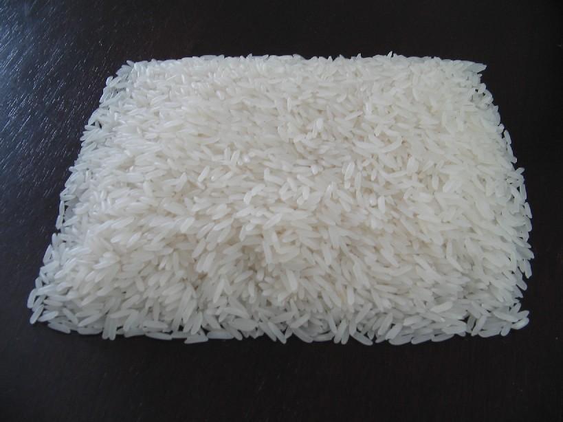 Japonica Rice