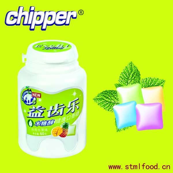 Pineapple FlavorML-045 60g sugar free Xylitol Gum
