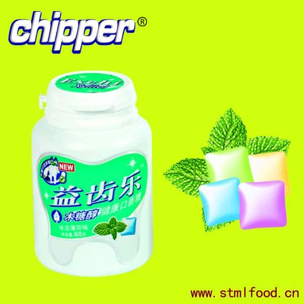 cool Mint FlavorML-058 60g Xylitol Gum sugar free