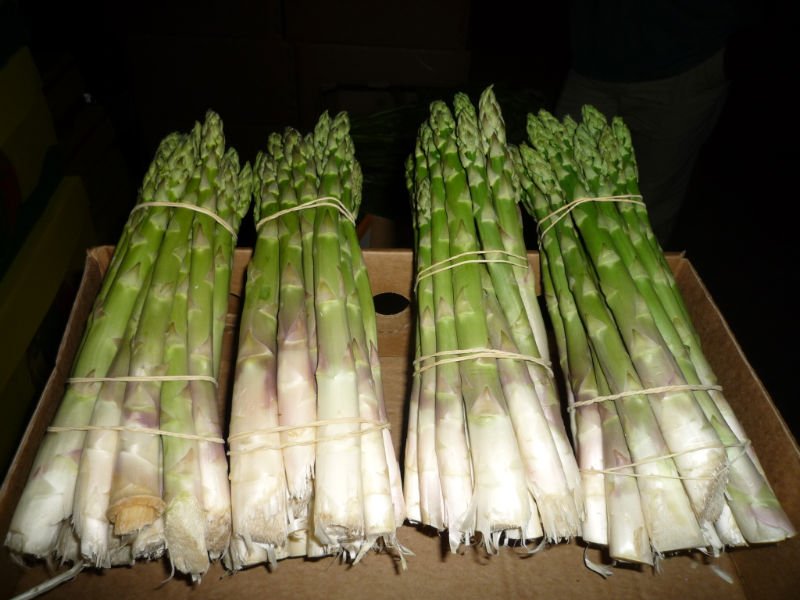 asparagus