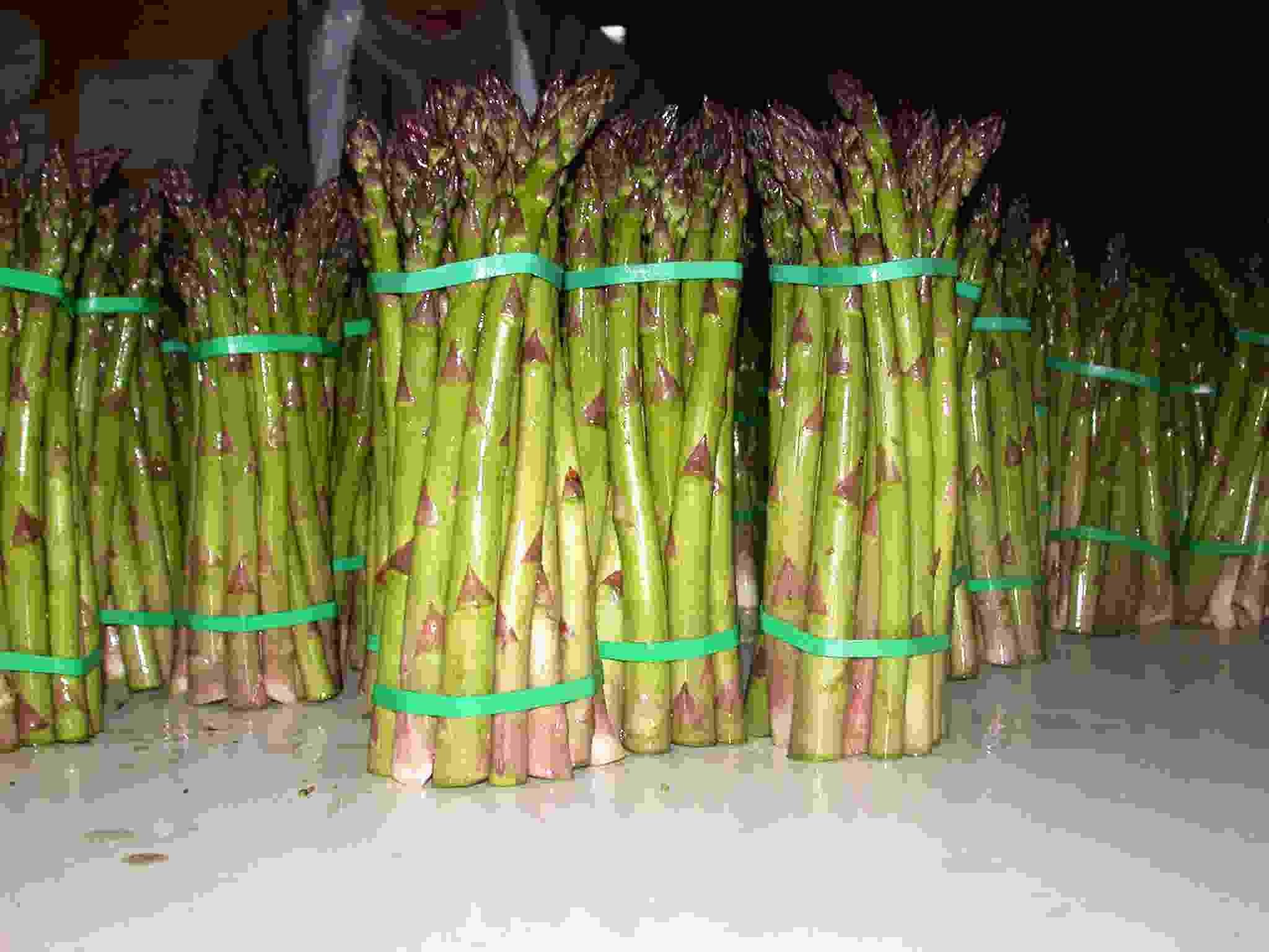 Fresh Asparagus