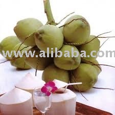 Indian Coconuts