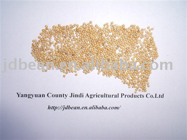 Crop 2010 White Broom Corn Millet