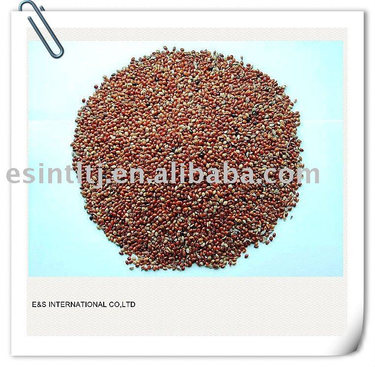 Millet in Husk