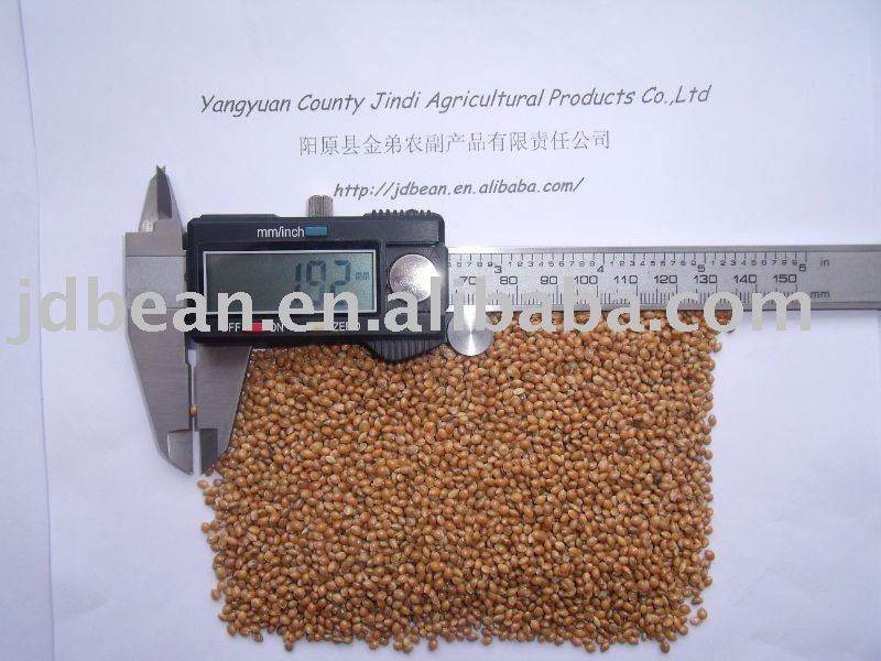 ALIBABA USED EXCLUSIVELY Yellow Broom Corn Millet