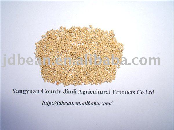 ALIBABA USED EXCLUSIVELY Yellow Millet in Husk (GF2)