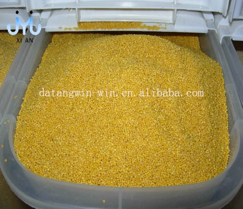 Millet
