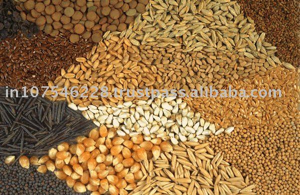 Millet seeds
