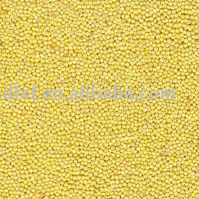 organic millet