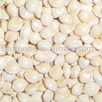  White    Broomcorn   Millet 