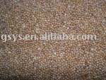 Yellow millet in  husk 