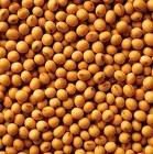  Grains  and seed