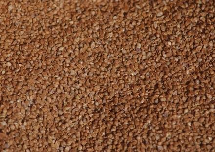 Millet for sale