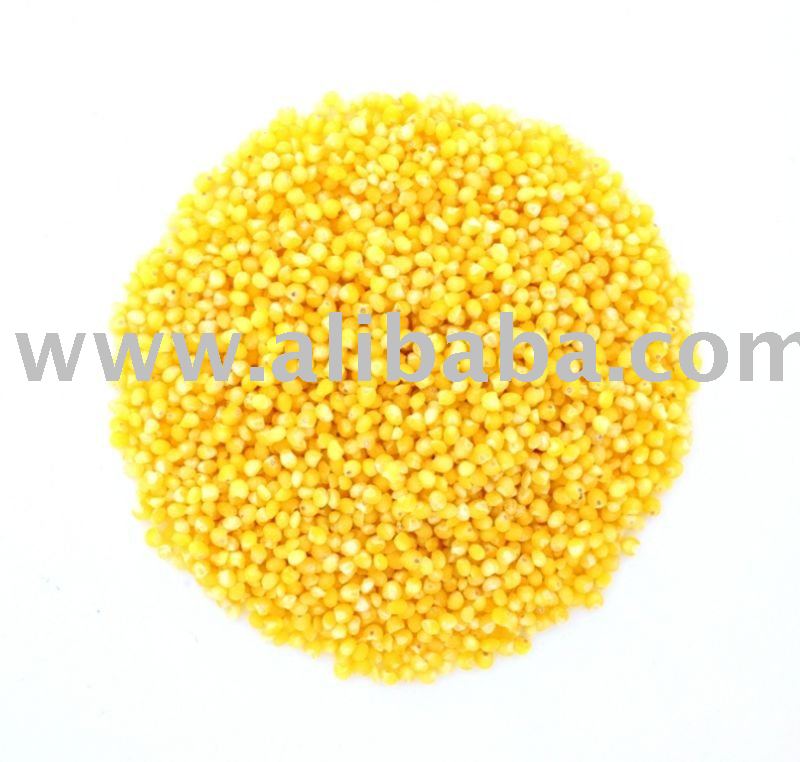 Yellow shelled millet