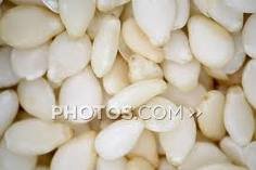 White Broomcorn Millet