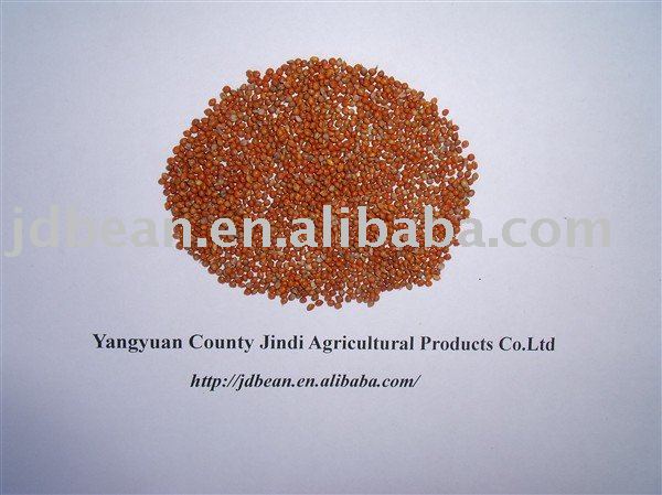 ALIBABA USED EXCLUSIVELY Red Millet in Husk (GF1)