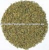  Bajra  - Millets Green