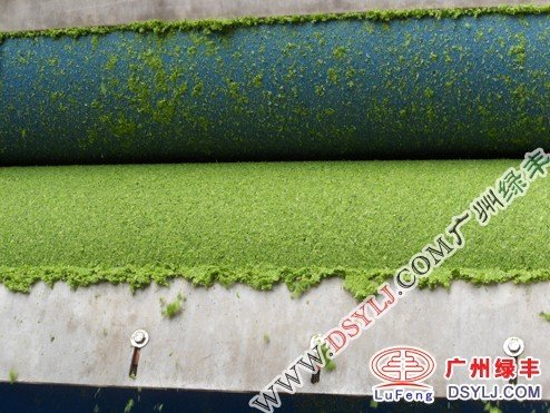 Broccoli juice press