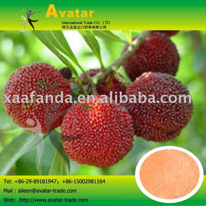 Waxmyrtle juice powder