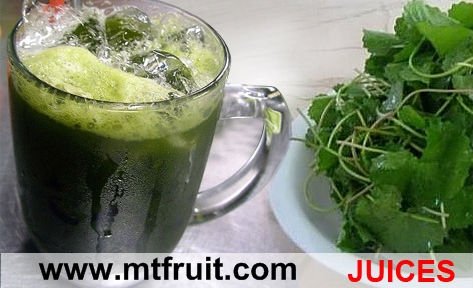  Frozen   Fruit   Juice s