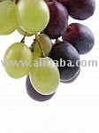 Sell Grape Juice Concentrate