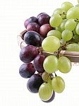 Sell Red Grape Juice Concentrated