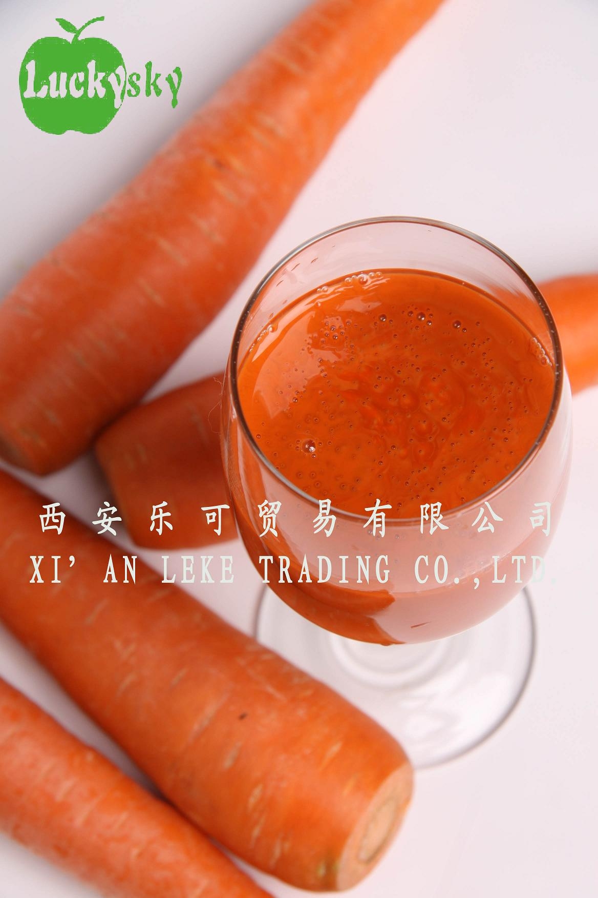 Carrot Cloudy Juice Concentrate,40+/-1 brix