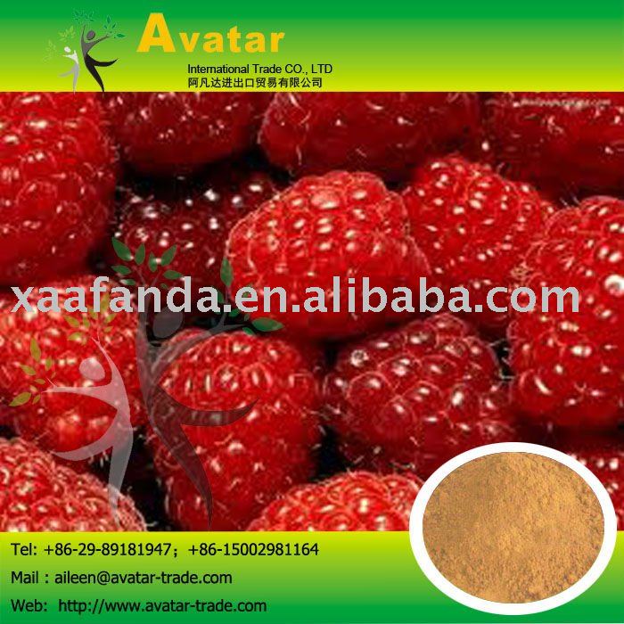 Mulberry Extract Juice Powder