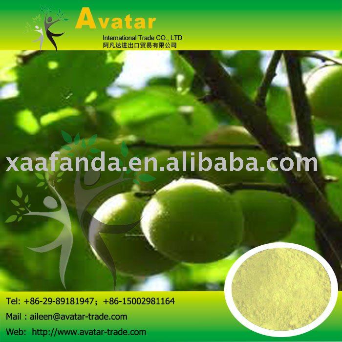 Green Plum Extract Juice Powder
