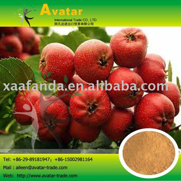 Hawthorn Extract Juice Powder