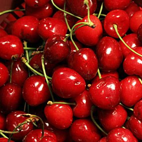 sour cherry concentrate