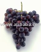 Sell Red grape Juice Concentrate